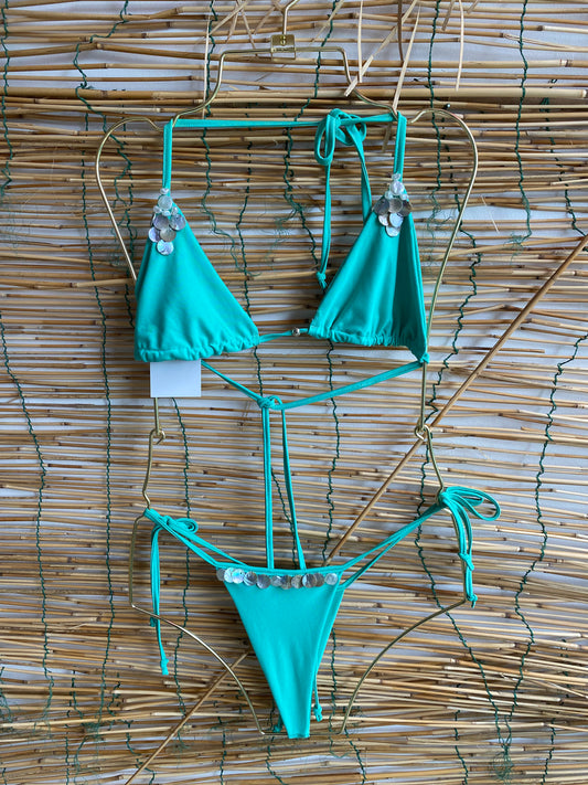 Carisucia turquesa shells  (MAR-6074)